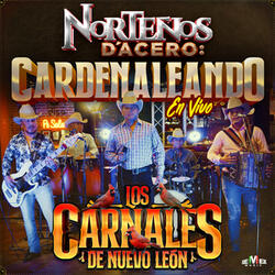 Norteños D'Acero: Cardenaleando