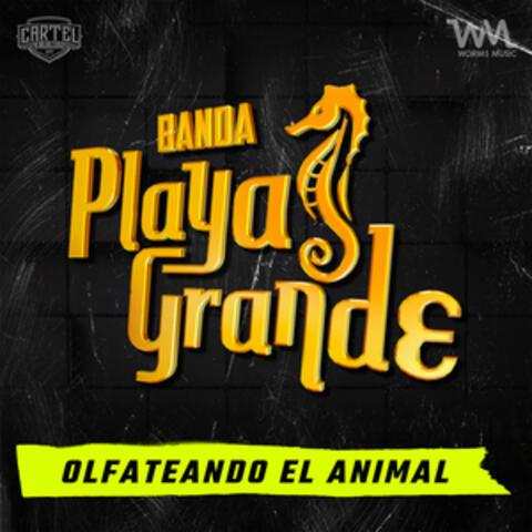 Olfateando el animal