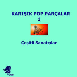 Kar Tanesi