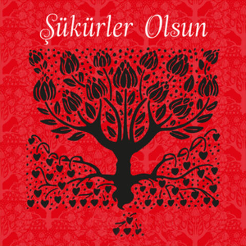 Şükürler Olsun