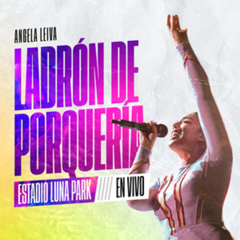 Ladrón De Porquería