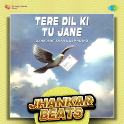 Tere Dil Ki Tu Jane