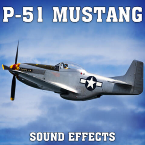 P-51 Mustang Sound Effects