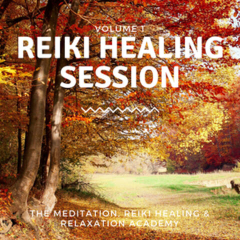 Reiki Healing Session, Vol. 1