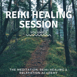 Reiki Healing 2, Pt. 19