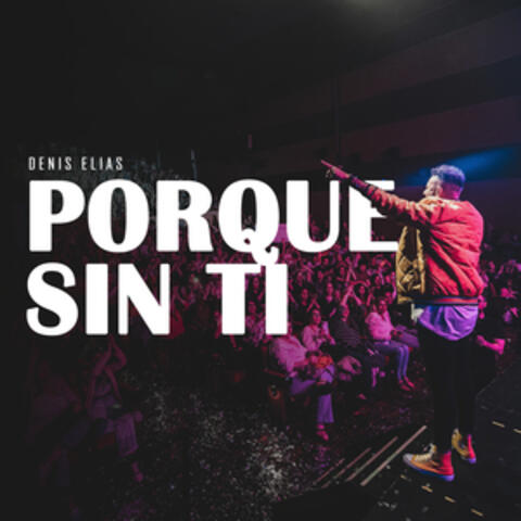 Porque Sin Ti