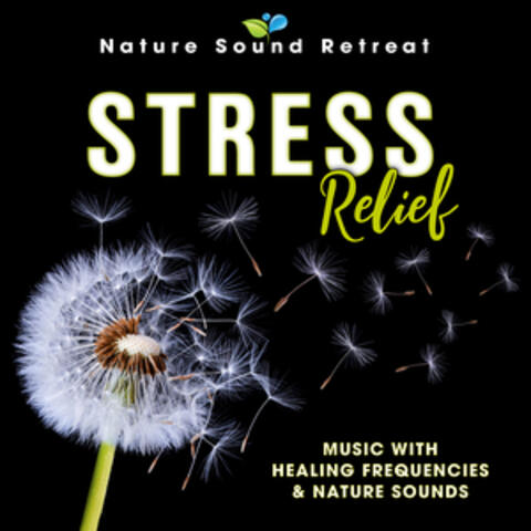 Stress Relief: Music with Healing Frequencies & Nature Sounds
