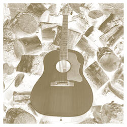 Homage to Django Reinhardt