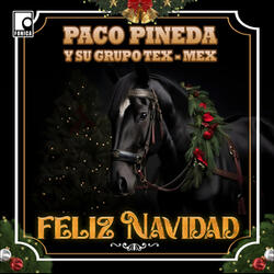 Amarga Navidad