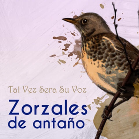 Zorzales de Antaño… Tal Vez Sera Su Voz
