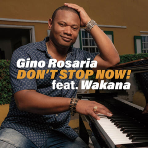 Don't Stop Now! (feat. Wakana)