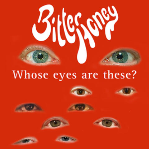 Whose Eyes Are These ?