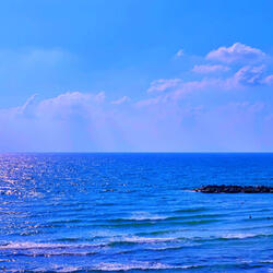 Shoreline