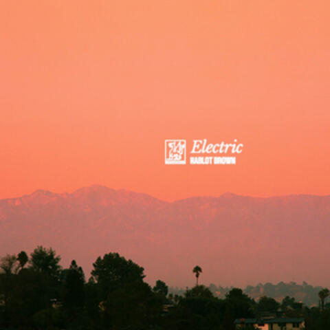 Electric