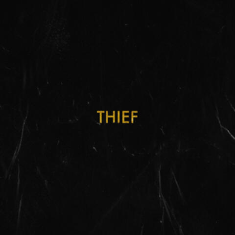 Thief
