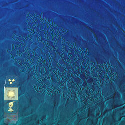 Chill Lo-Fi Algorithms to Study To