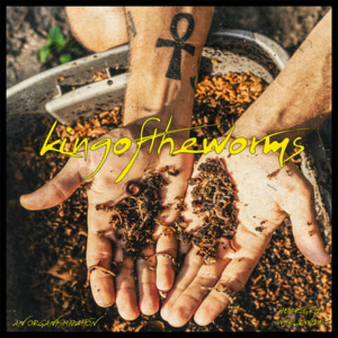 Kingoftheworms