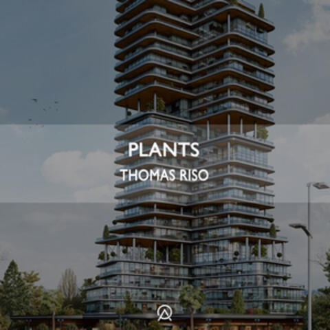 Plants