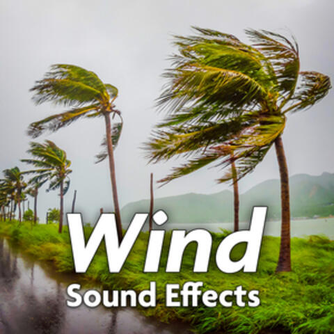 Wind Sound Effects