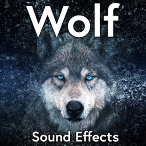 Wolf Sound Effects