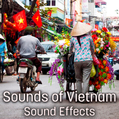 Sounds of Vietnam