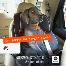 Ten Perros (no tengas hijos)