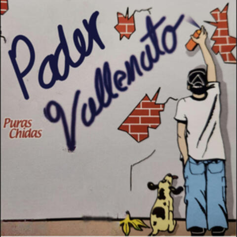 Puras Chidas
