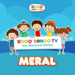 Meral Taşıtları Tanıyor