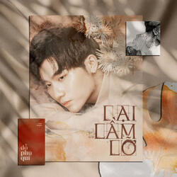 Lại Lầm Lỡ
