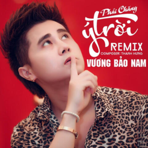 Phải Chăng Ý Trời (Remix)