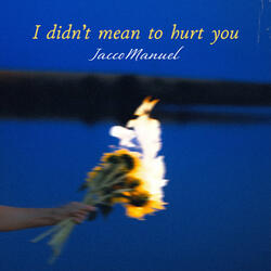 I didn't mean to hurt you