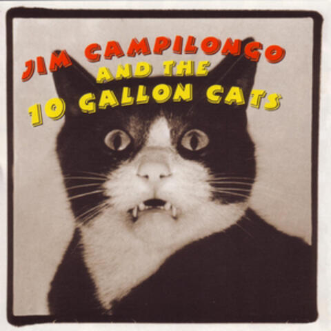 Jim Campilongo and the 10 Gallon Cats