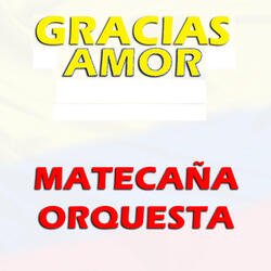 Gracias Amor
