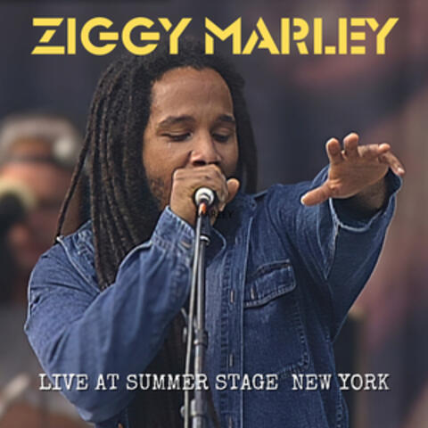 Ziggy Marley Live At Summer Stage New York