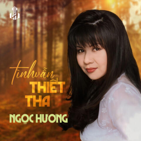 Tình Vẫn Thiết Tha
