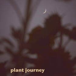 Plant Journey