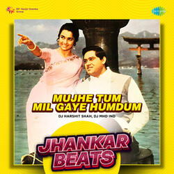Mujhe Tum Mil Gaye Humdum