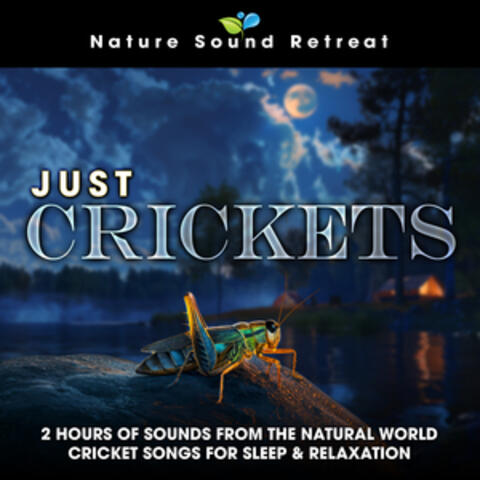 Just Crickets: 2 Hours of Sounds from the Natural World Cricket Songs for Sleep & Relaxation