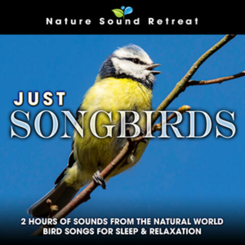 Just Songbirds: 2 Hours of Sounds from the Natural World Bird Songs for Sleep & Relaxation