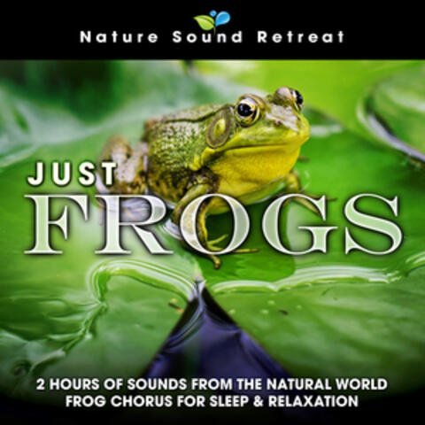 Just Frogs: 2 Hours of Sounds from the Natural World Frog Chorus for Sleep & Relaxation