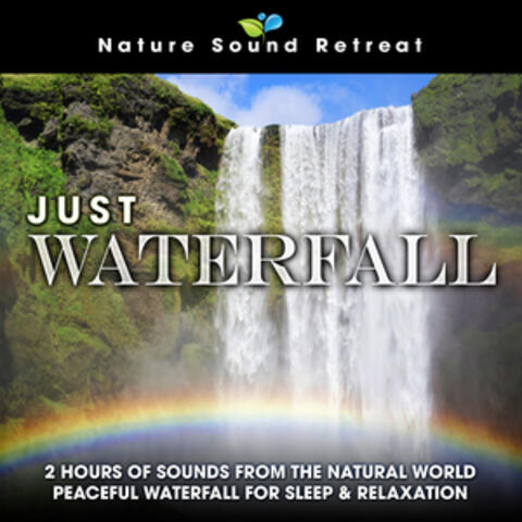 Just Waterfall: 2 Hours of Sounds from the Natural World Peaceful Waterfall for Sleep & Relaxation