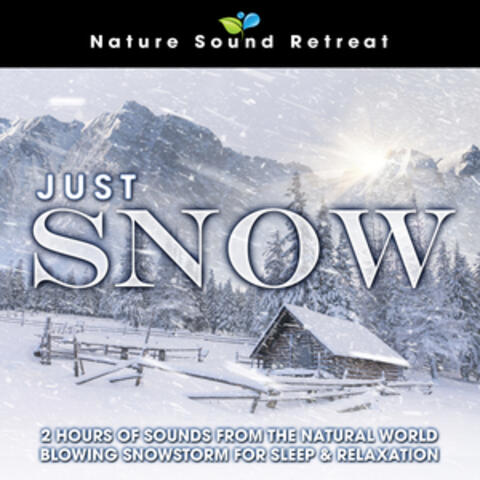Just Snow: 2 Hours of Sounds from the Natural World Blowing Snowstorm for Sleep & Relaxation