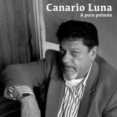 A Puro Pulmón