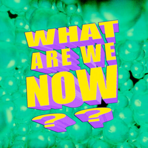 What Are We Now?