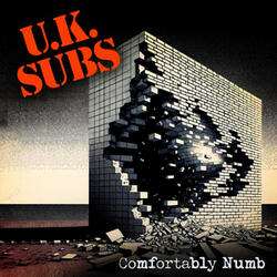 Comfortably Numb