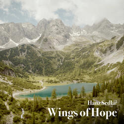 Wings of Hope