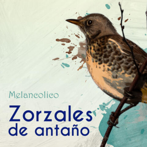 Zorzales de Antaño… Melancolico
