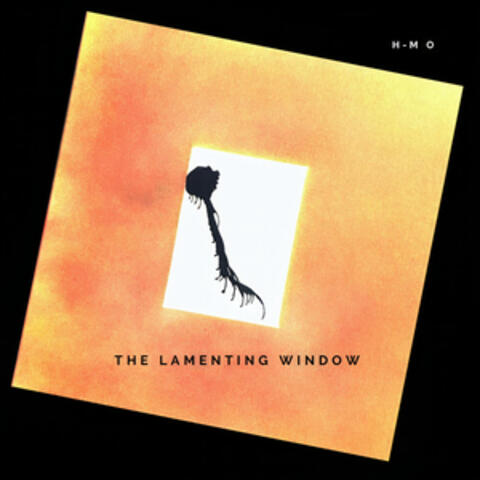 The Lamenting Window