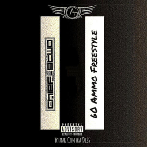 60 Ammo Freestyle II