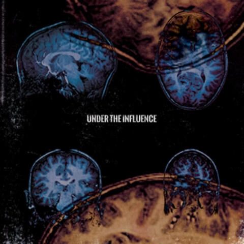 Exchange My Brain